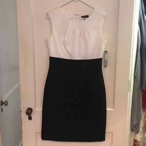 Tahari Black and White Dress NWT
